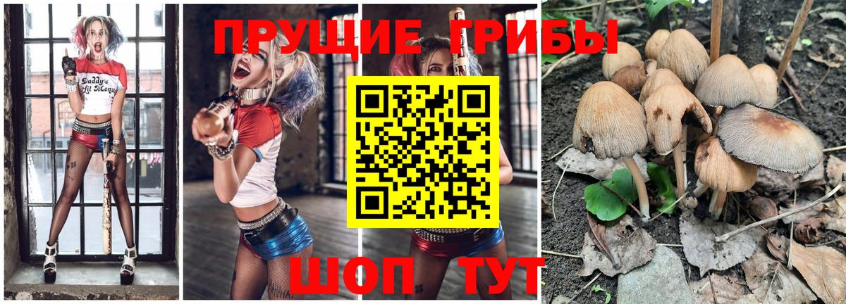 Псилоцибиновые грибы прущие грибы  Вход с VPN  где купить наркотик  Сорочинск  Галлюциногенные грибы мухоморы 